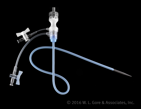 GORE® DrySeal Flex Introducer Sheath