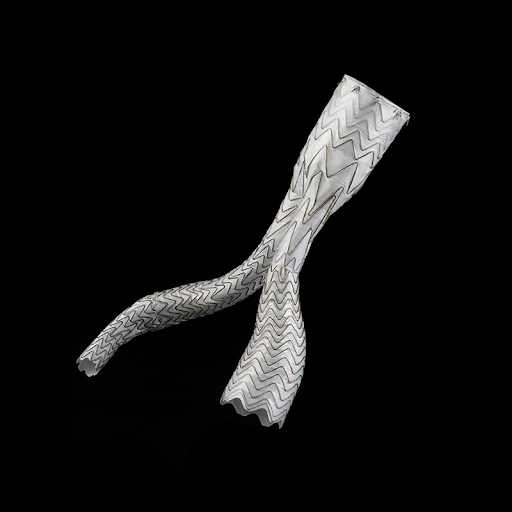 GORE® EXCLUDER® AAA Endoprosthesis featuring C3® Delivery System