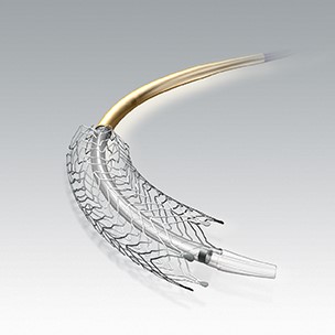 Absolute Pro® Vascular Self-Expanding Stent System