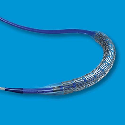 RX Herculink Elite® Renal Stent System