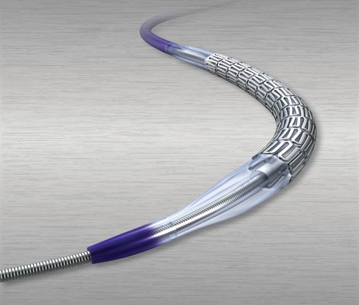 Omnilink Elite Vascular Balloon-Expandable Stent System